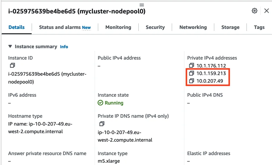 EC2 instance, ENIs and assigned IPs